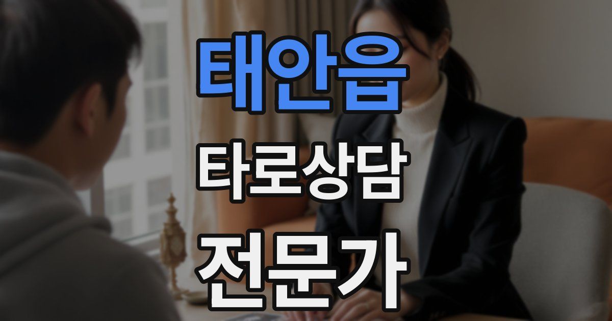 태안읍 타로상담전문가 자격증