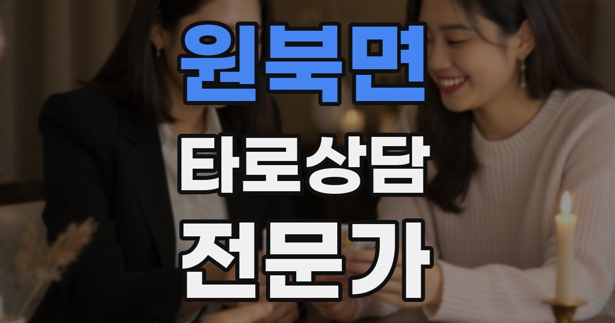 원북면 타로상담전문가 자격증