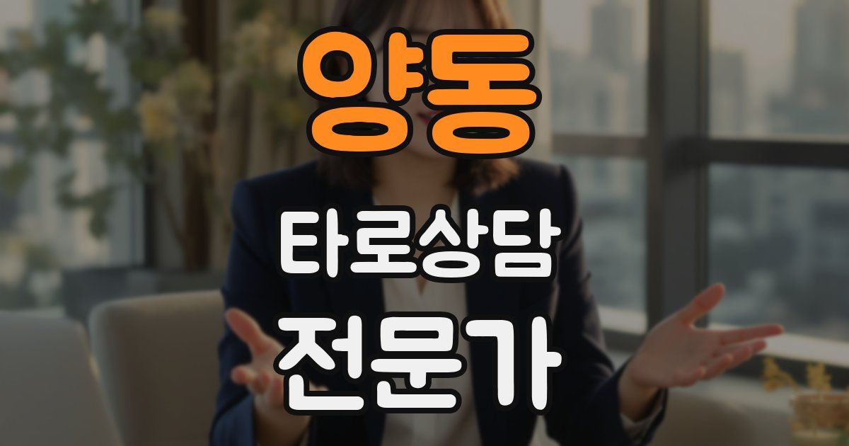 양동 타로상담전문가 자격증