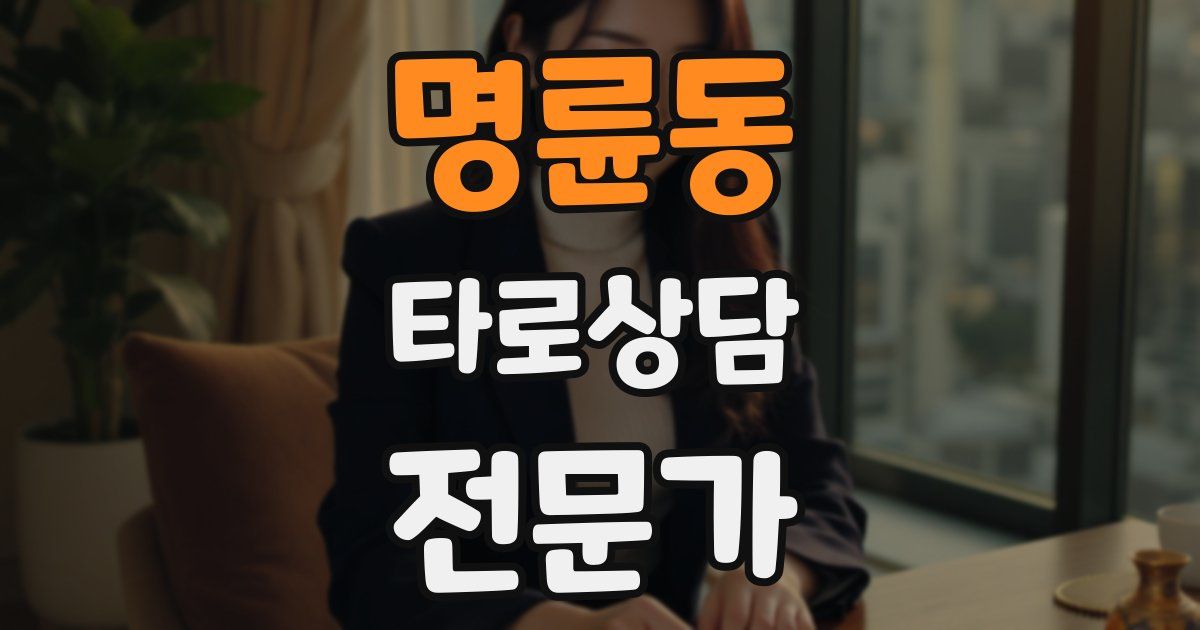명륜동 타로상담전문가 자격증