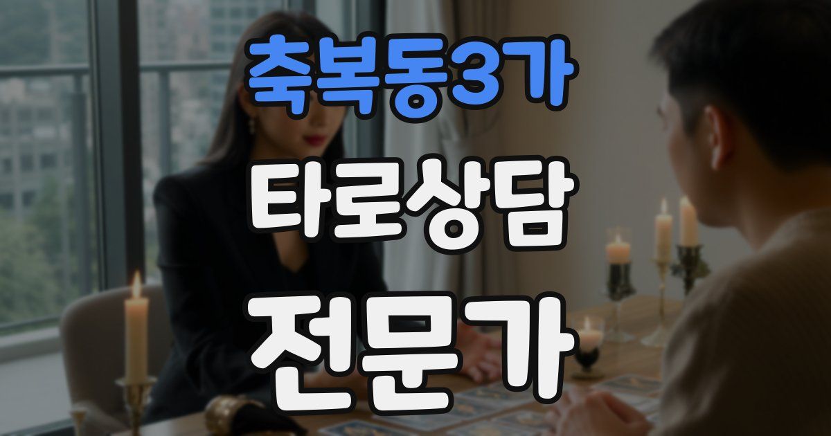 축복동3가 타로상담전문가 자격증