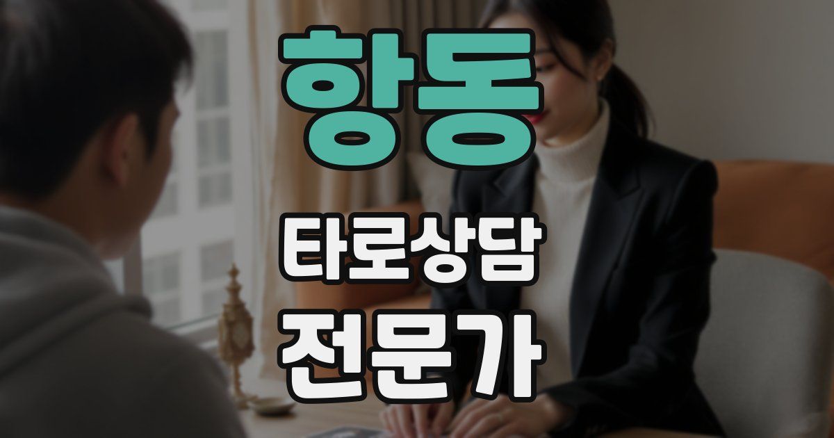 항동 타로상담전문가 자격증