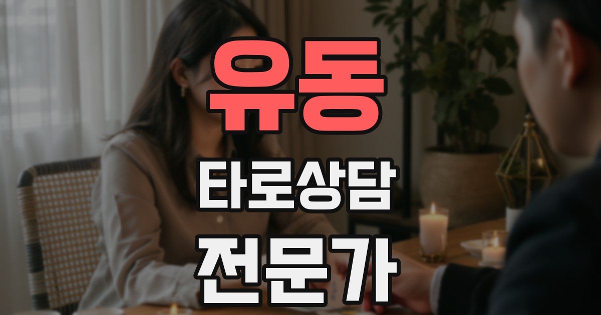유동 타로상담전문가 자격증