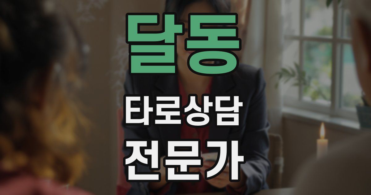 달동 타로상담전문가 자격증