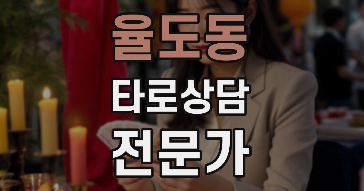율도동 타로상담전문가 자격증