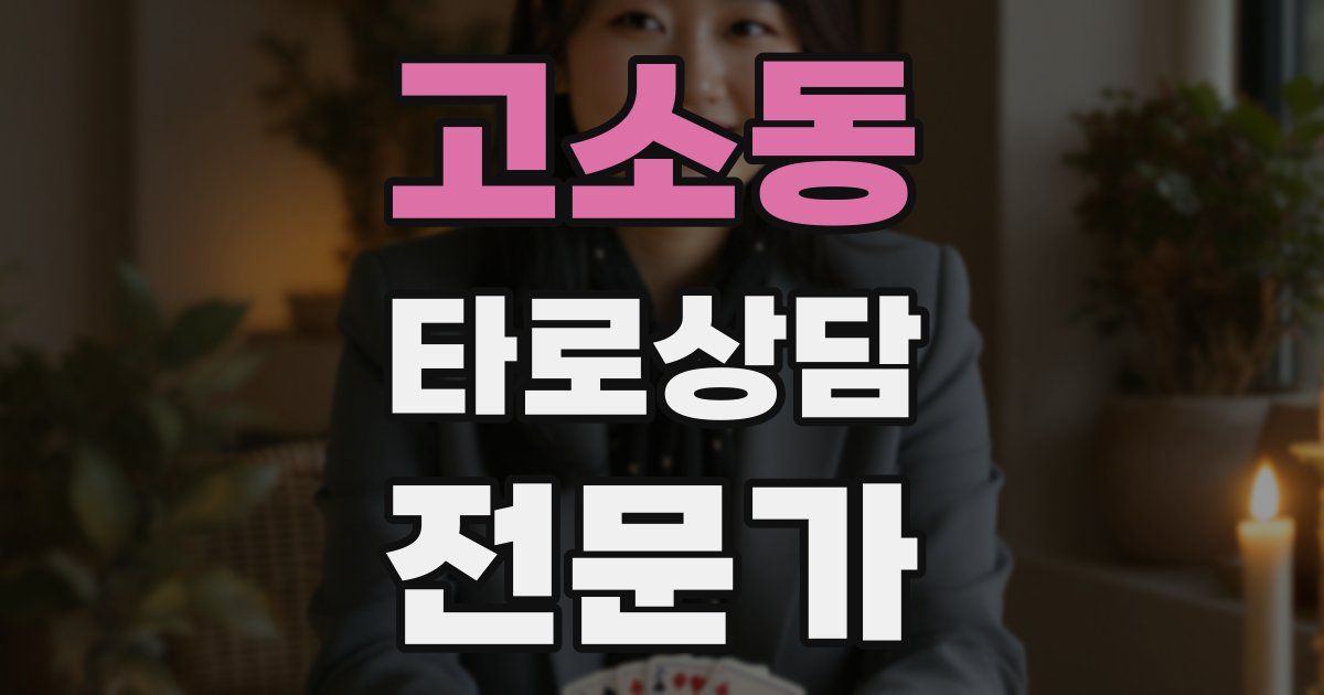 고소동 타로상담전문가 자격증