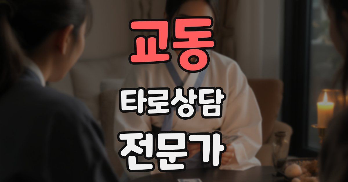 교동 타로상담전문가 자격증