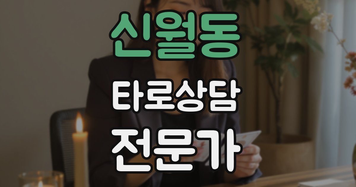 신월동 타로상담전문가 자격증