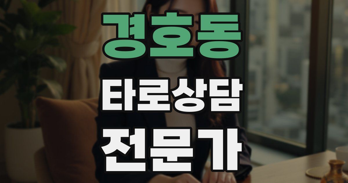 경호동 타로상담전문가 자격증