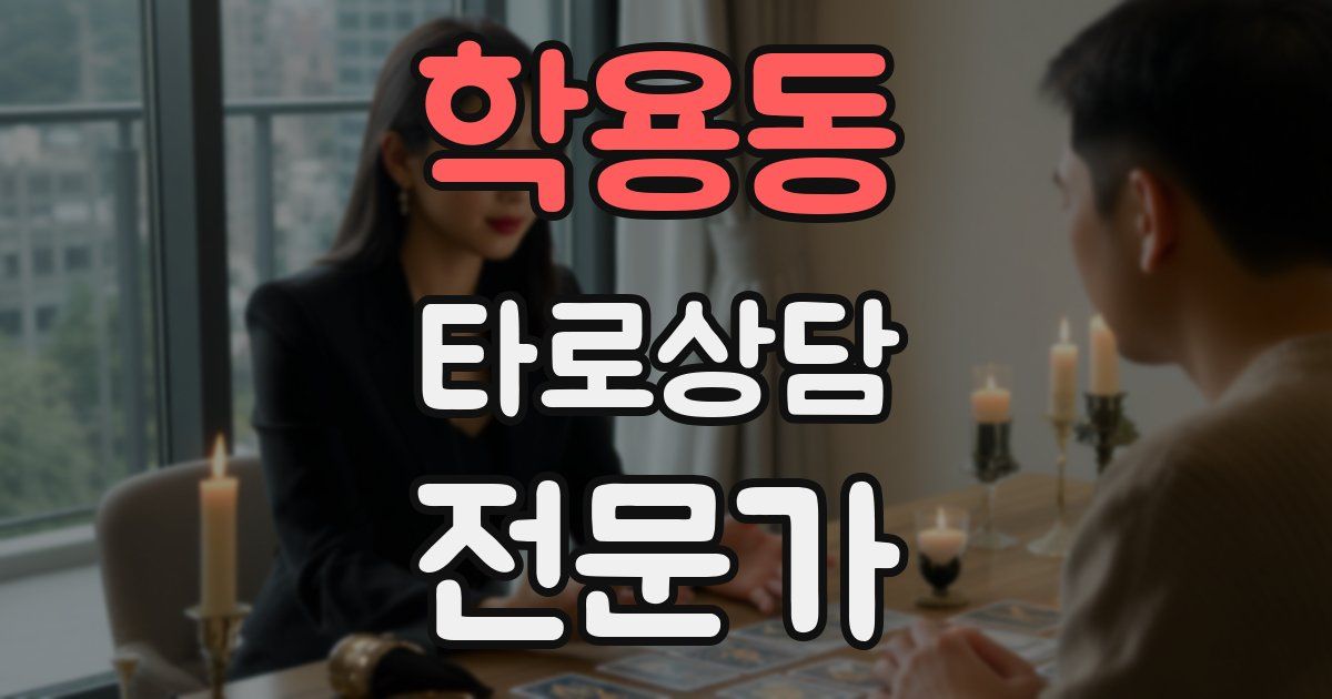 학용동 타로상담전문가 자격증