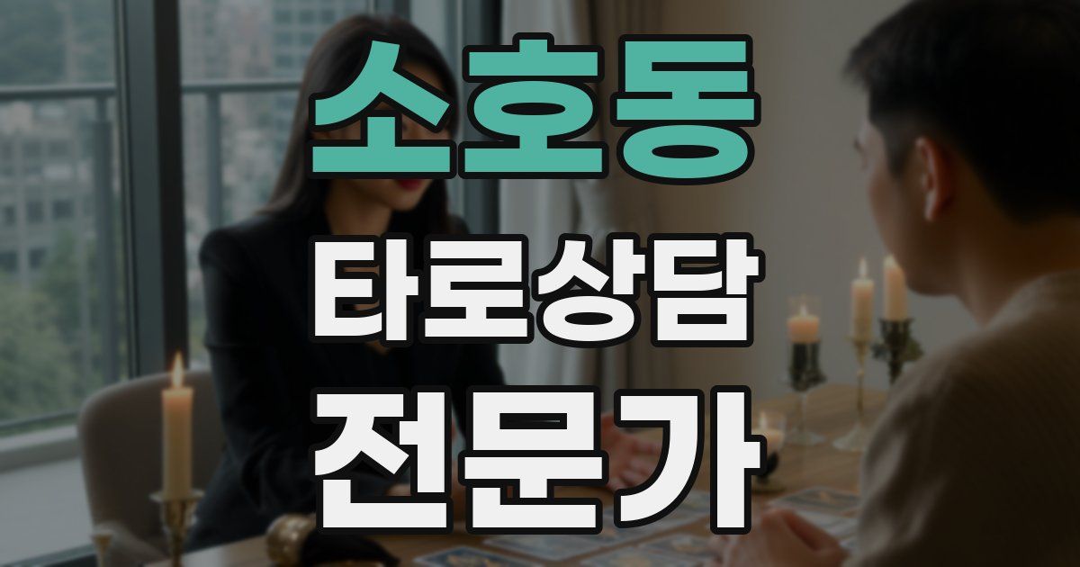 소호동 타로상담전문가 자격증
