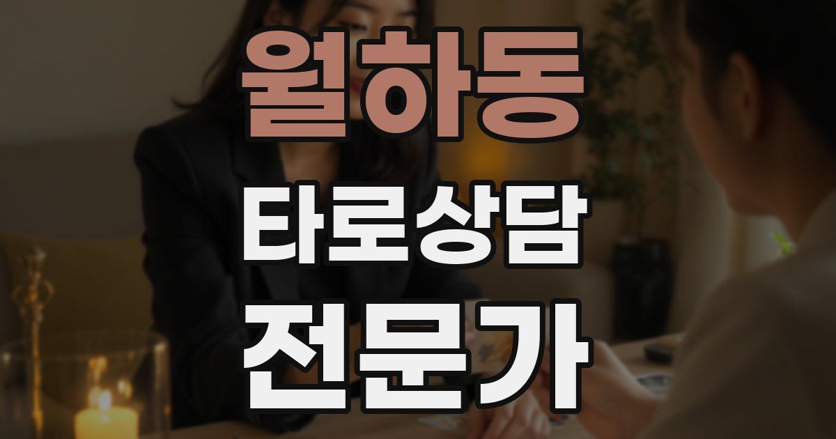 월하동 타로상담전문가 자격증