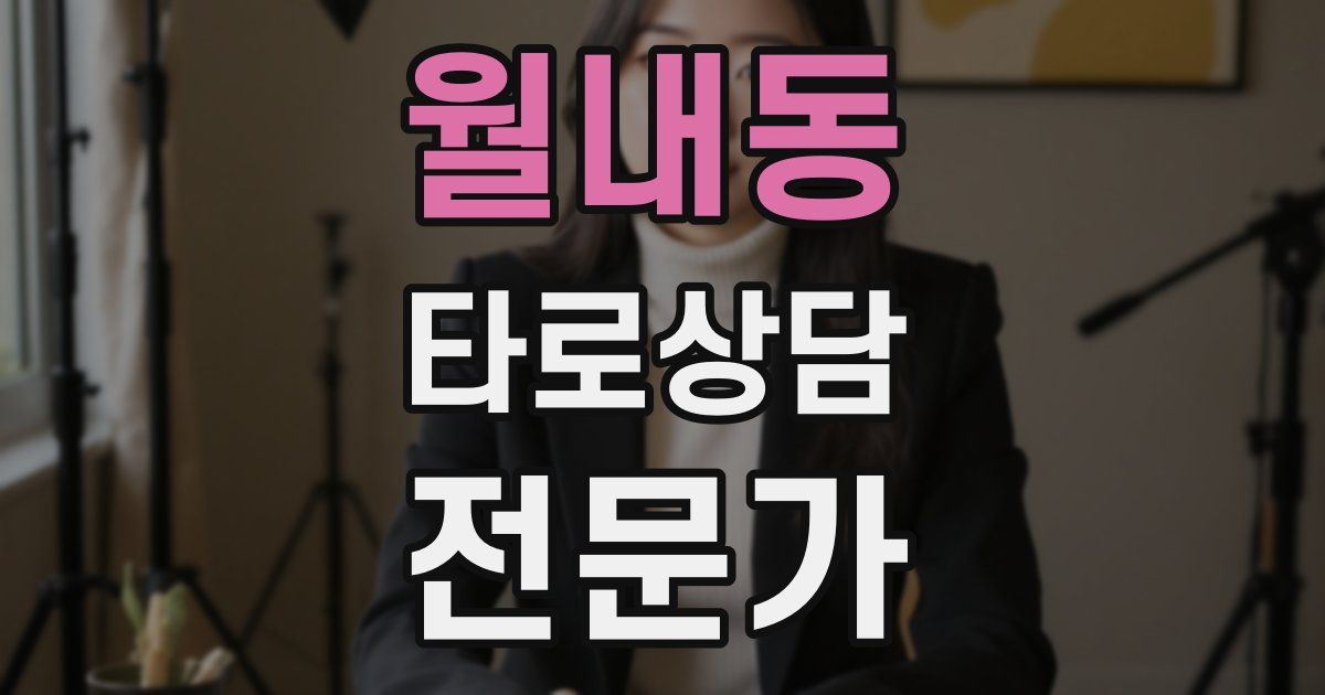 월내동 타로상담전문가 자격증
