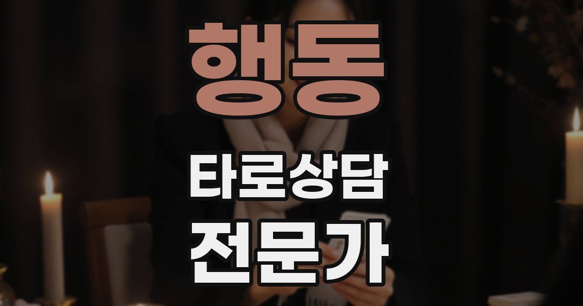 행동 타로상담전문가 자격증