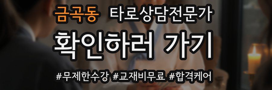 금곡동 타로상담전문가 자격증