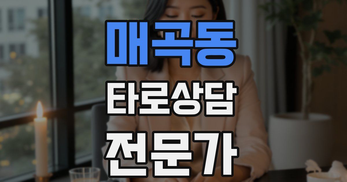매곡동 타로상담전문가 자격증