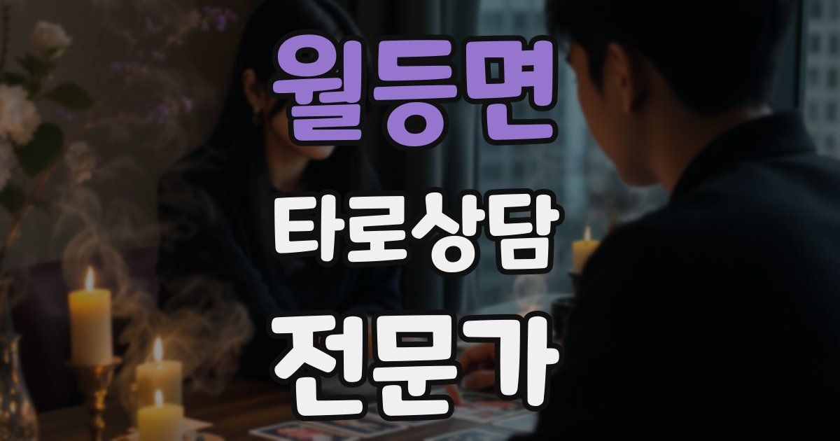 월등면 타로상담전문가 자격증