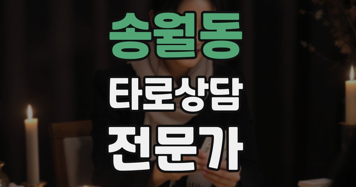 송월동 타로상담전문가 자격증