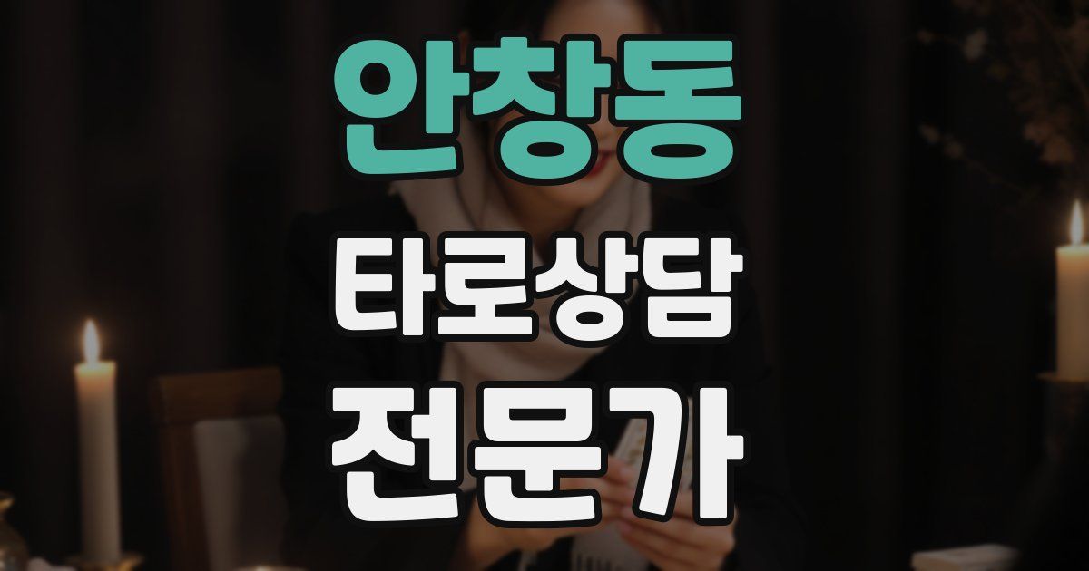 안창동 타로상담전문가 자격증