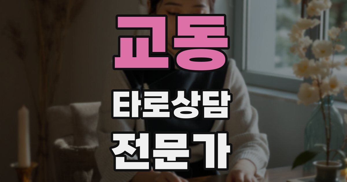 교동 타로상담전문가 자격증