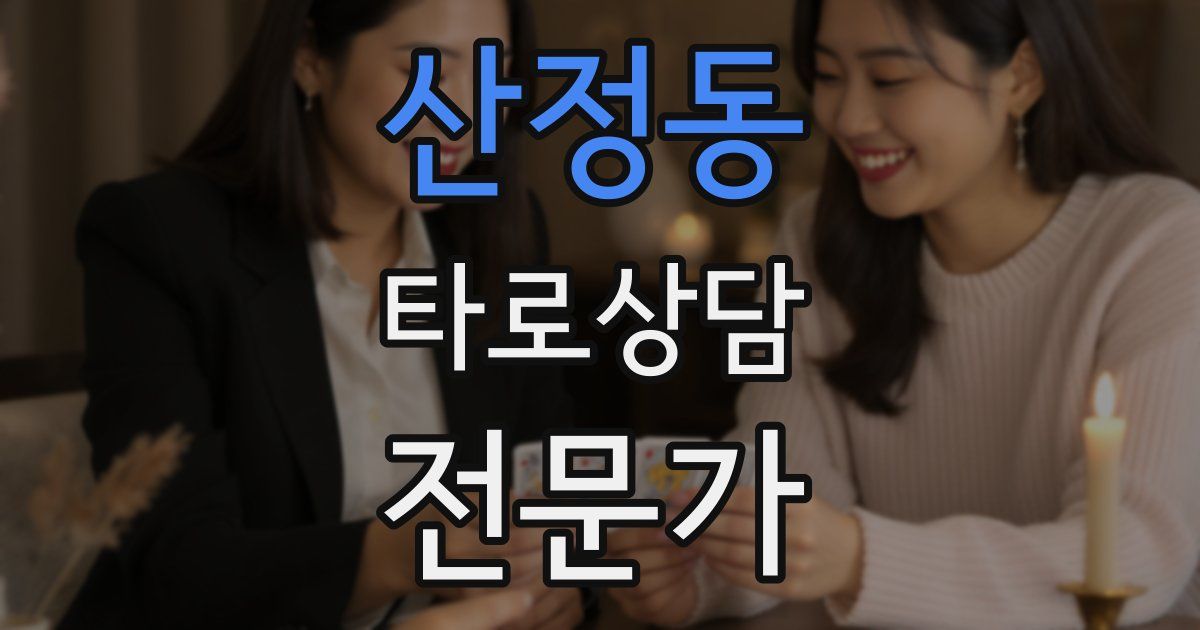 산정동 타로상담전문가 자격증