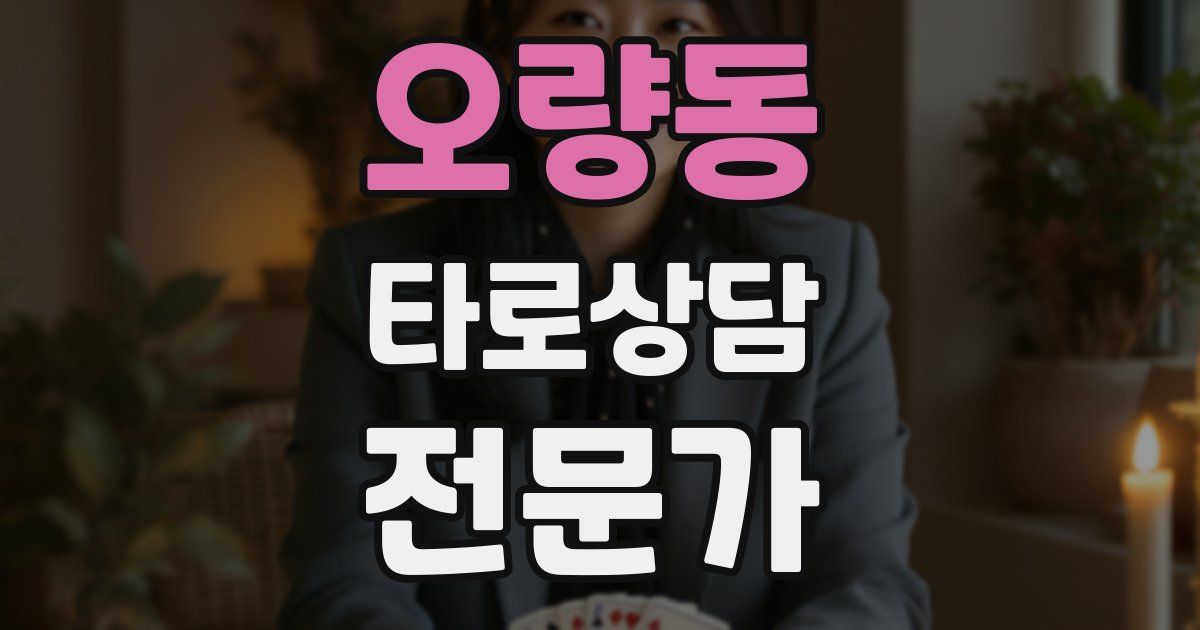 오량동 타로상담전문가 자격증