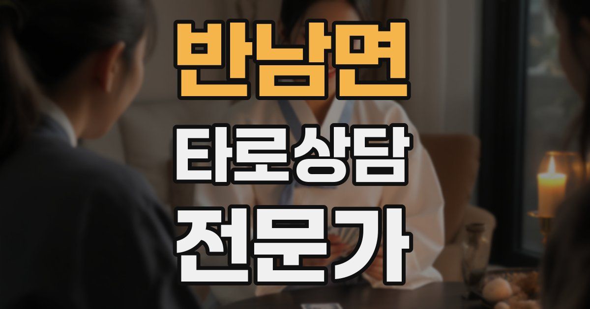 반남면 타로상담전문가 자격증