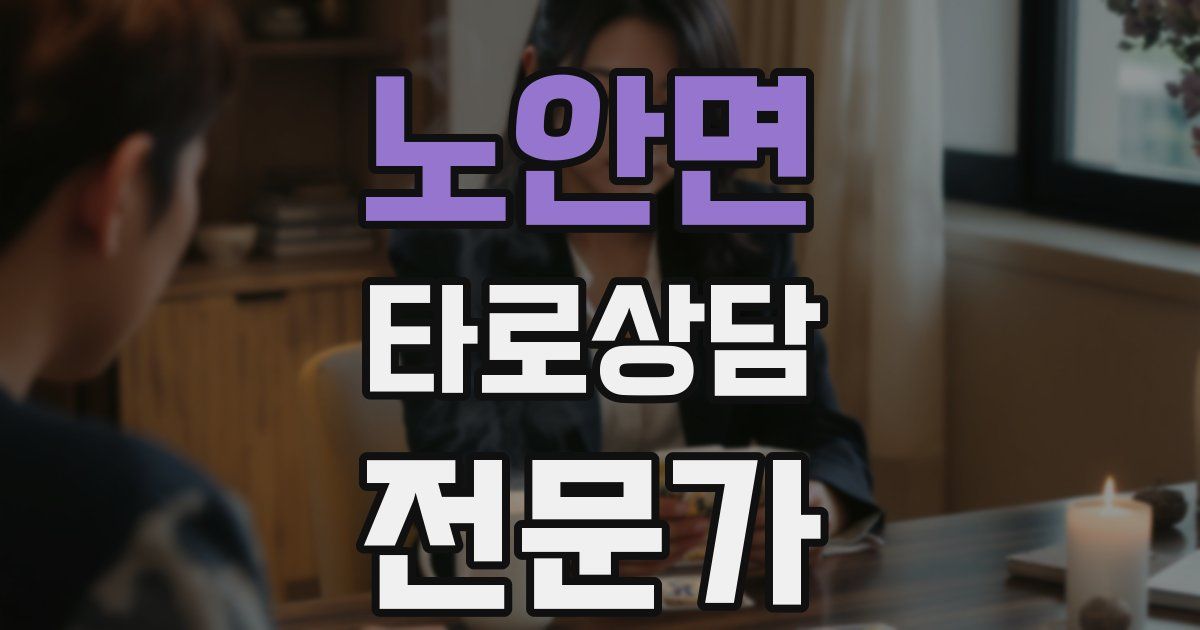 노안면 타로상담전문가 자격증