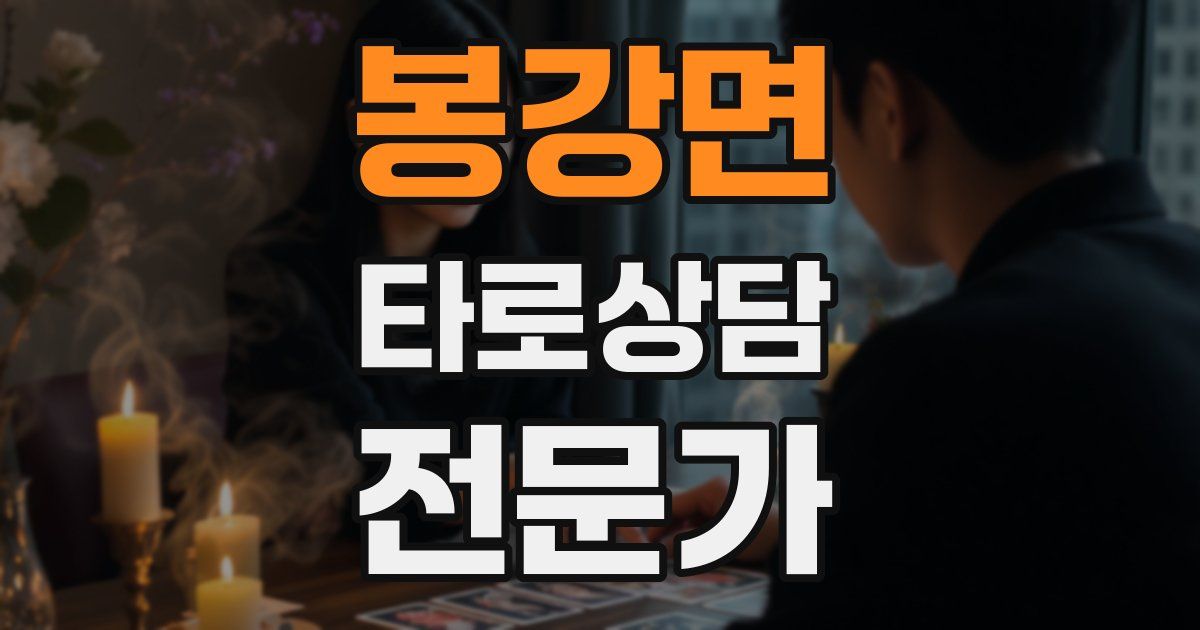 봉강면 타로상담전문가 자격증