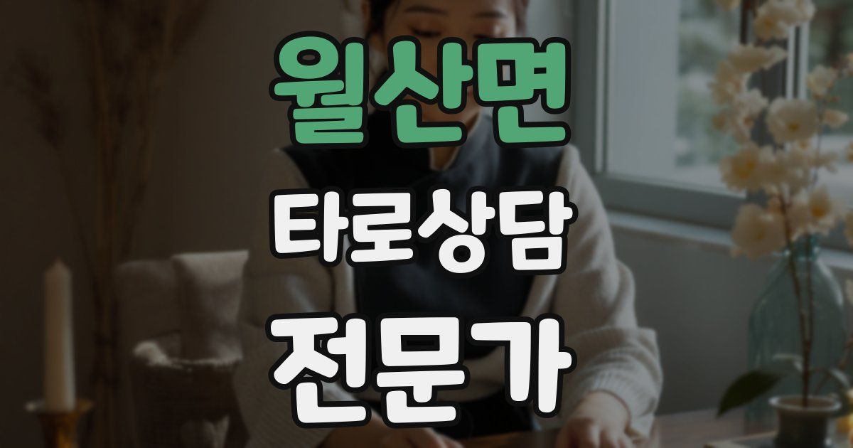 월산면 타로상담전문가 자격증