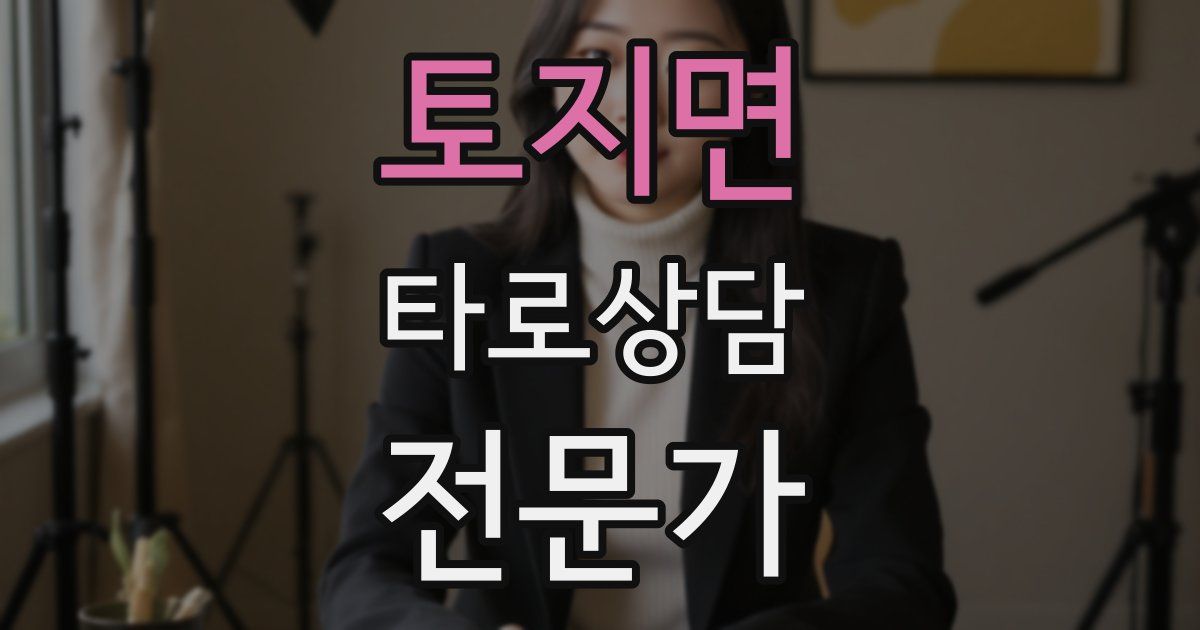 토지면 타로상담전문가 자격증