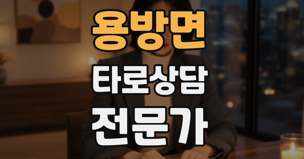 용방면 타로상담전문가 자격증