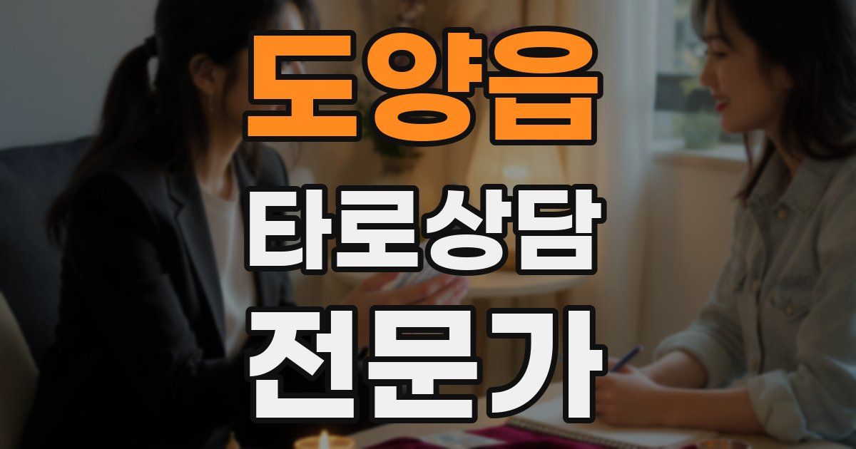 도양읍 타로상담전문가 자격증