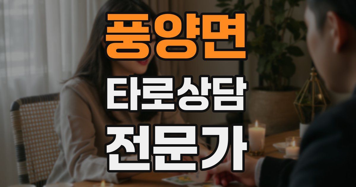 풍양면 타로상담전문가 자격증