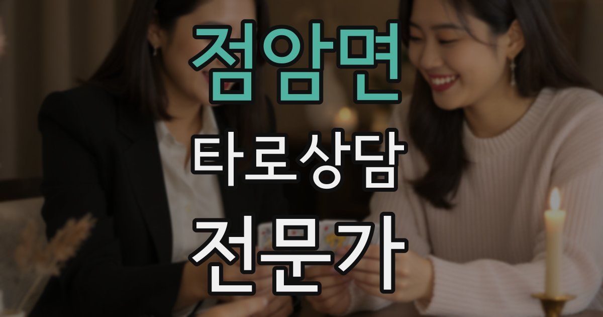 점암면 타로상담전문가 자격증