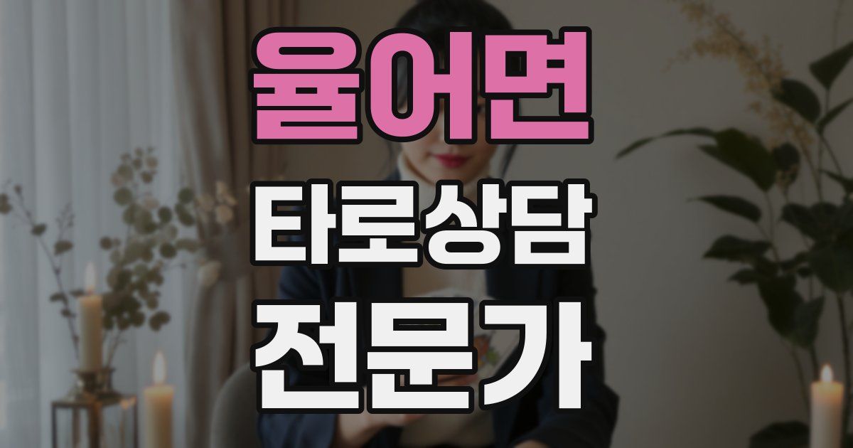 율어면 타로상담전문가 자격증