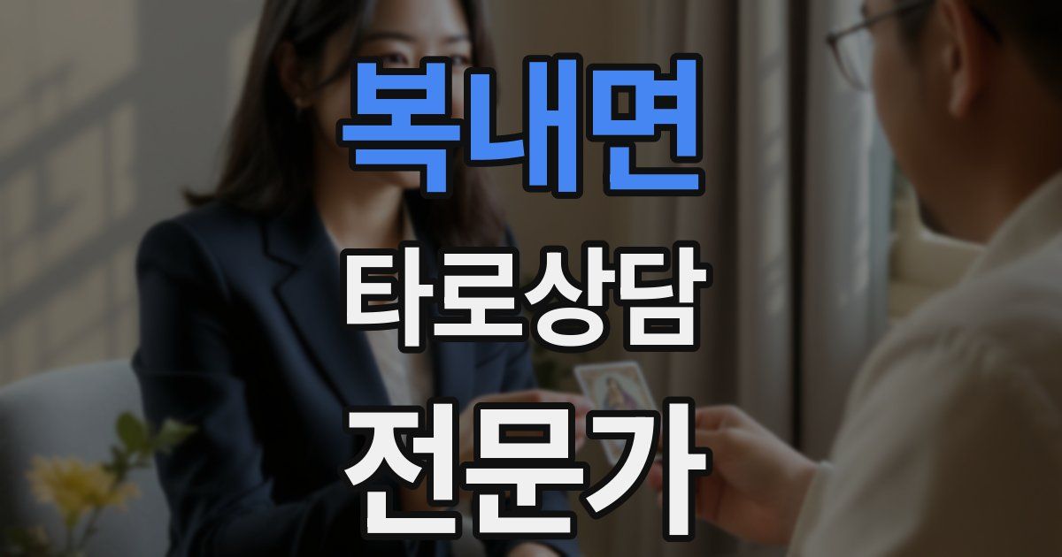 복내면 타로상담전문가 자격증