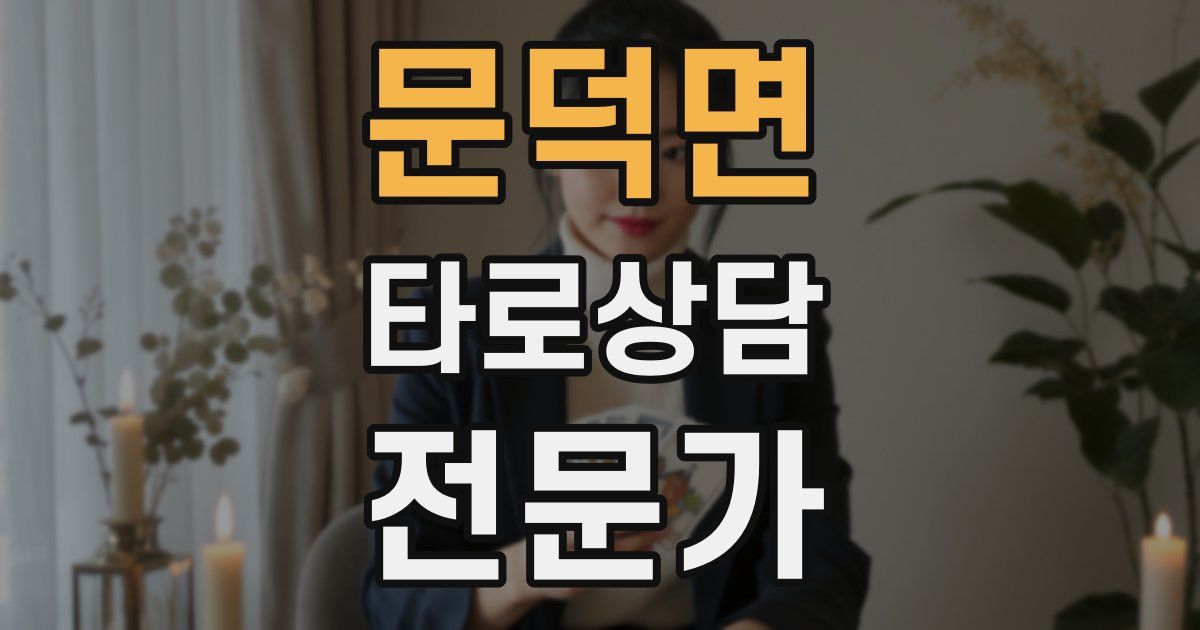 문덕면 타로상담전문가 자격증