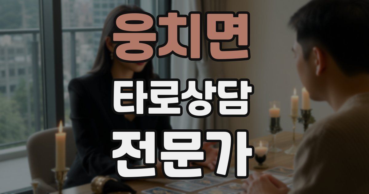 웅치면 타로상담전문가 자격증