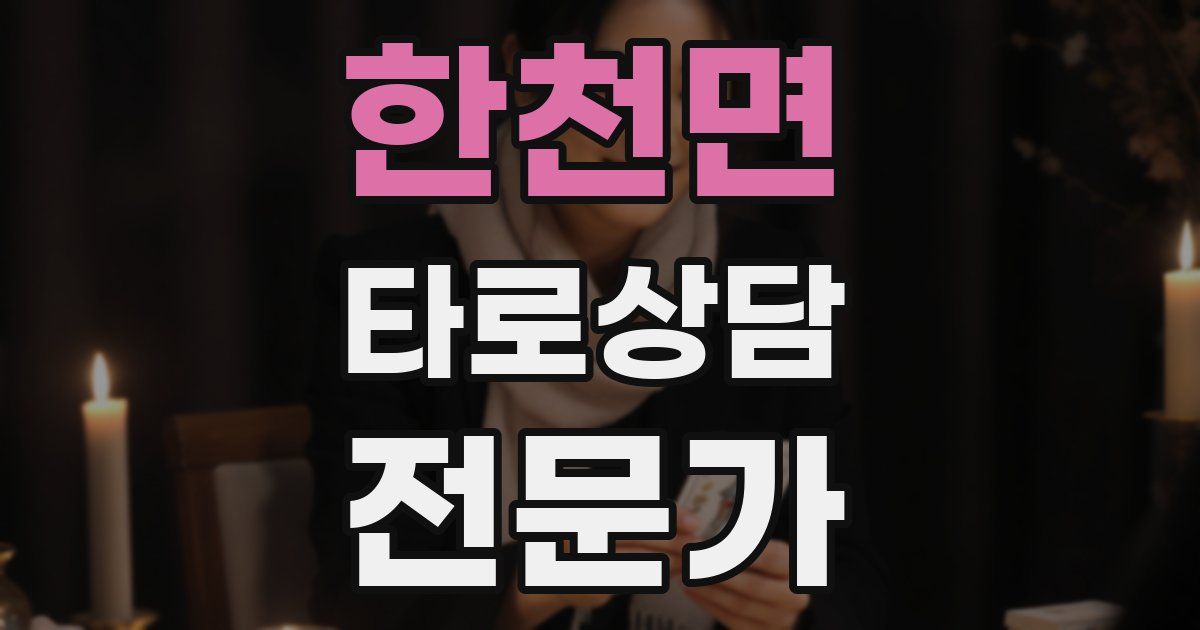 한천면 타로상담전문가 자격증