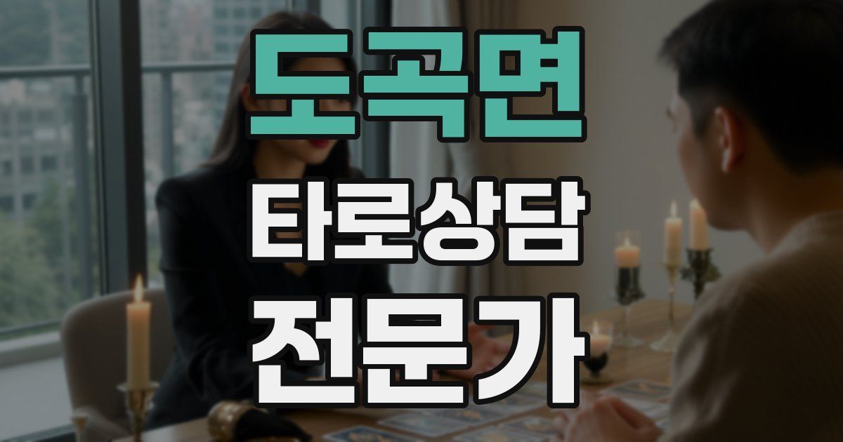 도곡면 타로상담전문가 자격증