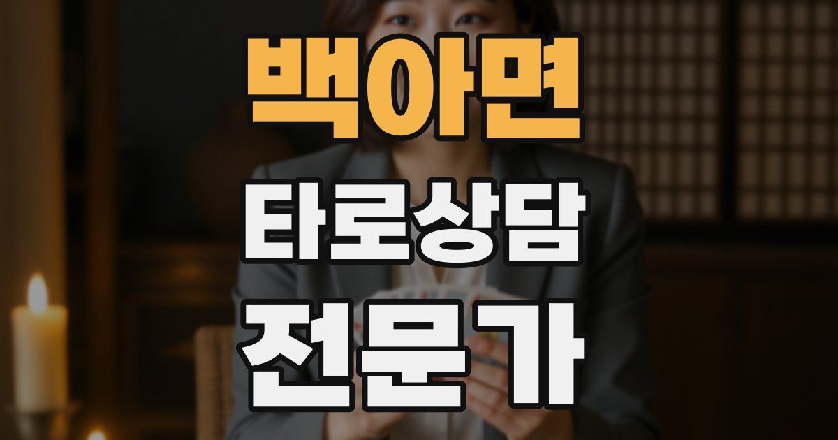 백아면 타로상담전문가 자격증