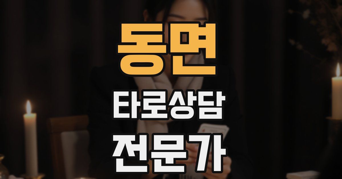 동면 타로상담전문가 자격증