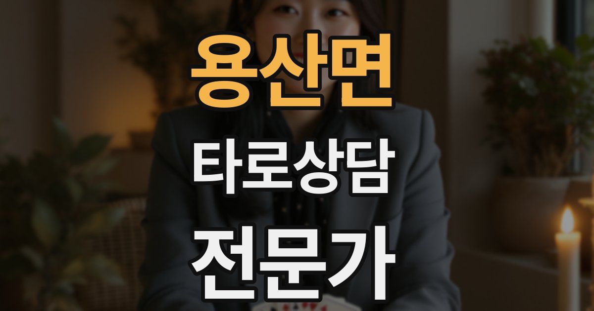 용산면 타로상담전문가 자격증