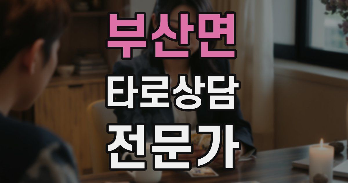 부산면 타로상담전문가 자격증