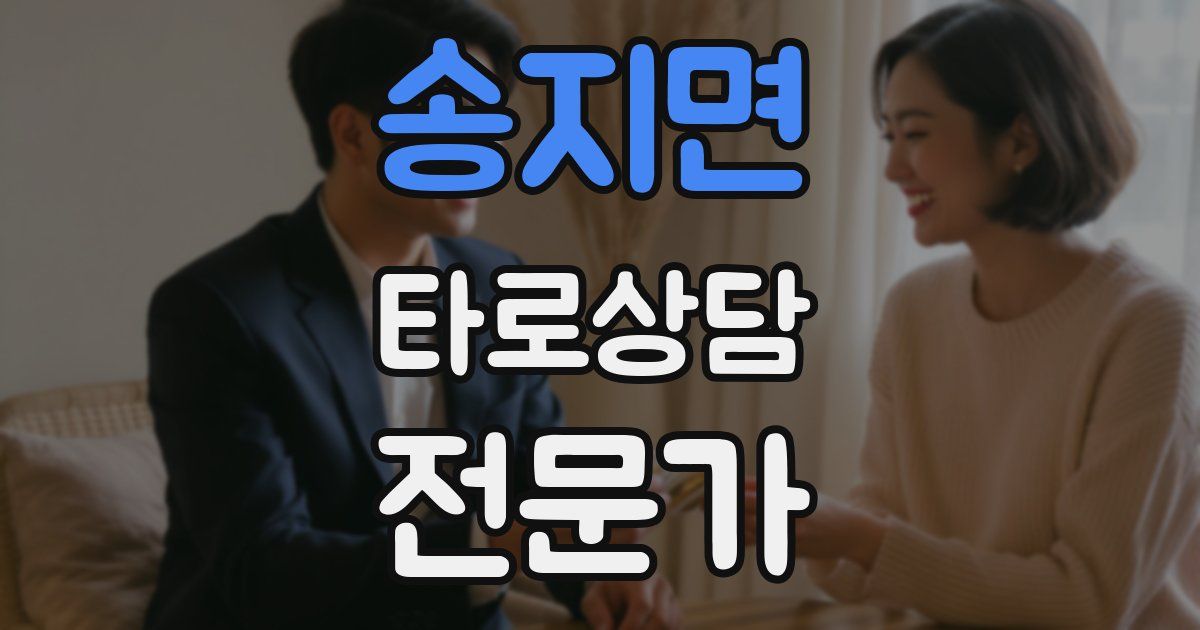 송지면 타로상담전문가 자격증
