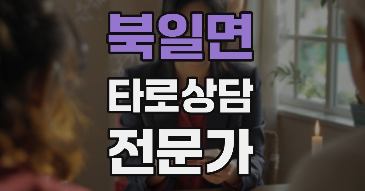 북일면 타로상담전문가 자격증