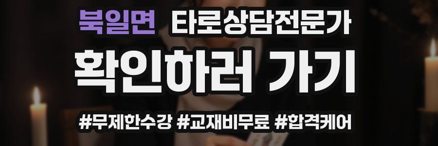 북일면 타로상담전문가 자격증