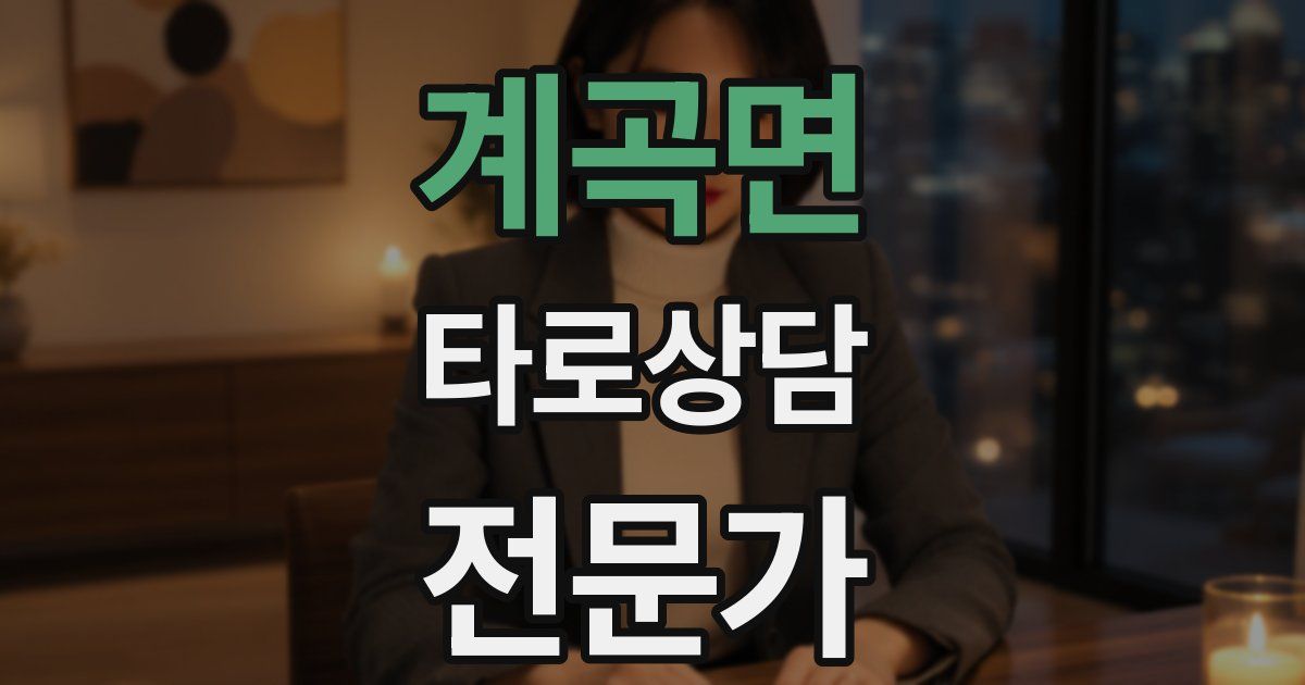계곡면 타로상담전문가 자격증