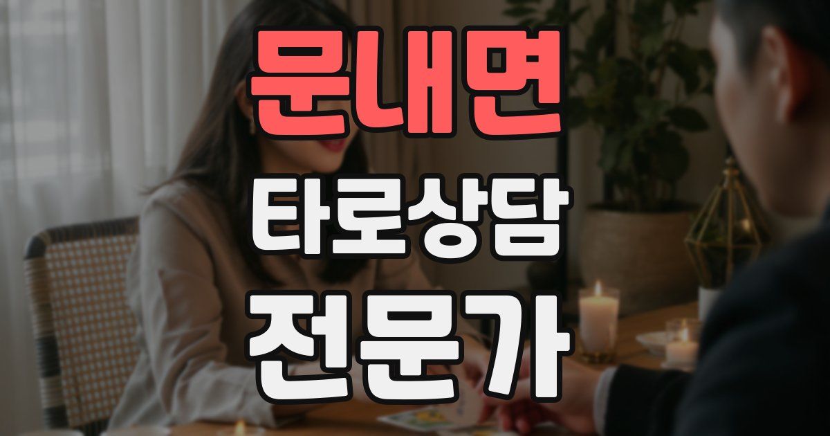 문내면 타로상담전문가 자격증